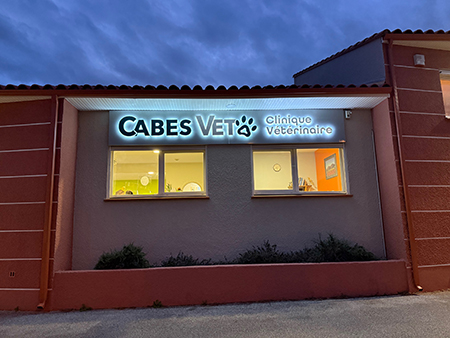 veterinairescabestany-dubiealberny.comfacade-dec-2025-nuit1